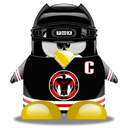 penguin pingouin pinguino 444